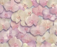 НС71421-25 Orchid Обои Палитра 1,06х10м НС71421-25 Orchid Обои Палитра 1,06х10м