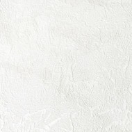 60721-02 Erismann  Sandra Обои виниловые на флиз. основе гор. тисн.1,06 х10,05м