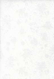 10010-03 Обои винил 1,06*10м