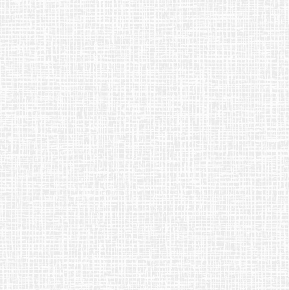 2519 Обои под покраску ATELIERO 25 x1.06 м