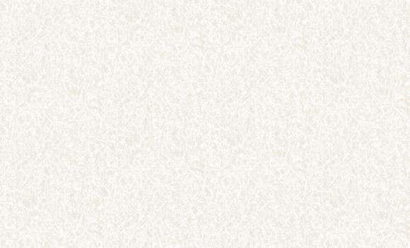 2818-4 Erismann  Defender Color Обои виниловые на флиз. основе гор. тисн.1,06 х10,05м