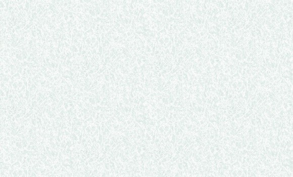 2818-5 Erismann  Defender Color Обои виниловые на флиз. основе гор. тисн.1,06 х10,05м