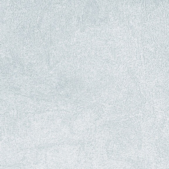 60911-04 Erismann Prospect обои виниловые на флиз. основе гор. тисн.1,06 х10,05м