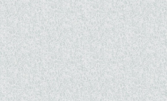 2818-6 Erismann  Defender Color Обои виниловые на флиз. основе гор. тисн.1,06 х10,05м
