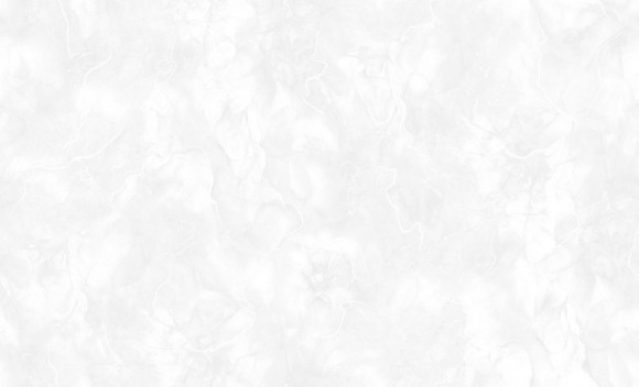 60695-01 Erismann Profi Deco обои винил на флизелине 10.05 х 1,06м 60695-01 Erismann Profi Deco обои винил на флизелине 10.05 х 1,06м