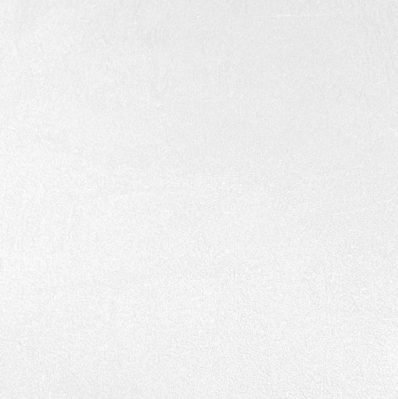 60911-05 Erismann Prospect обои виниловые на флиз. основе гор. тисн.1,06 х10,05м