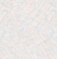 60278-06 Обои виниловые на флиз.осн.горячего тис 10,05*1,06