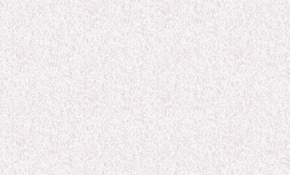 2818-7 Erismann  Defender Color Обои виниловые на флиз. основе гор. тисн.1,06 х10,05м
