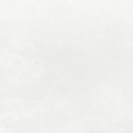 60560-01 Erismann  Defender Veter Обои виниловые на флиз. основе гор. тисн.1,06 х10,05м