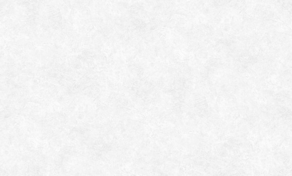 60560-02 Erismann  Defender Veter Обои виниловые на флиз. основе гор. тисн.1,06 х10,05м