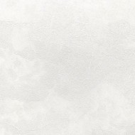 60560-03 Erismann  Defender Veter Обои виниловые на флиз. основе гор. тисн.1,06 х10,05м