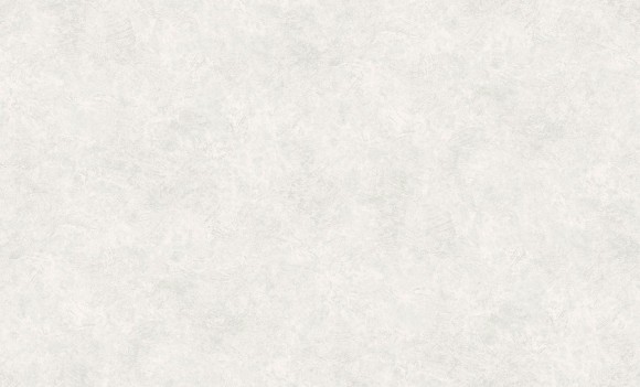 60560-03 Erismann  Defender Veter Обои виниловые на флиз. основе гор. тисн.1,06 х10,05м