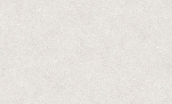 60560-04 Erismann  Defender Veter Обои виниловые на флиз. основе гор. тисн.1,06 х10,05м