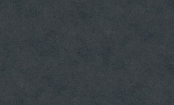 60560-06 Erismann  Defender Veter Обои виниловые на флиз. основе гор. тисн.1,06 х10,05м