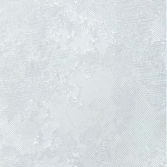 60864-04 Erismann Moon обои виниловые на флиз. основе гор. тисн.1,06 х10,05м