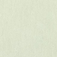 60812-02 Erismann Bali  обои винил на флизелине  10.05 х 1,06м