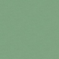 60465-07  Erismann  Amazonika Обои виниловые на флиз. основе гор. тисн.1,06 х10,05м