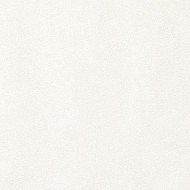 60462-02  Erismann  Profi Deko Обои виниловые на флиз. основе гор. тисн.1,06 х10,05м
