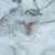 Панель PVC Marble Герда 2800*1200*1,2мм