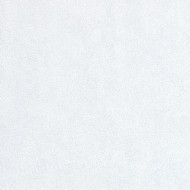 60462-05  Erismann  Profi Deko Обои виниловые на флиз. основе гор. тисн.1,06 х10,05м