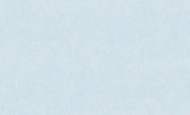 71531-16 (6) Обои 10 ВВ ГТ Home Color 1,06х10м