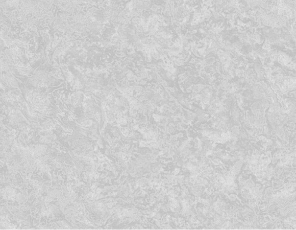 135103R Обои Grandeco Infinity виниловые на флиз.осн.горячего тис 10,05*1,06