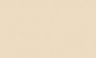 71531-32 (6) Обои 10 ВВ ГТ Home Color 1,06х10м