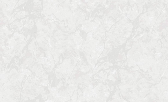 60630-02 Erismann Meridian Обои виниловые на флиз. основе гор. тисн.1,06 х10,05м 60630-02 Erismann Meridian Обои виниловые на флиз. основе гор. тисн.1,06 х10,05м