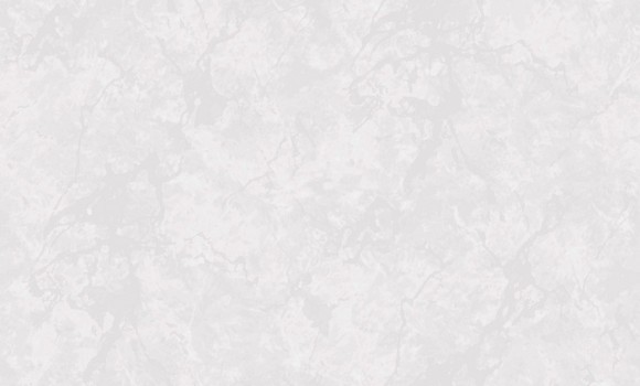 60630-03 Erismann Meridian Обои виниловые на флиз. основе гор. тисн.1,06 х10,05м 60630-03 Erismann Meridian Обои виниловые на флиз. основе гор. тисн.1,06 х10,05м