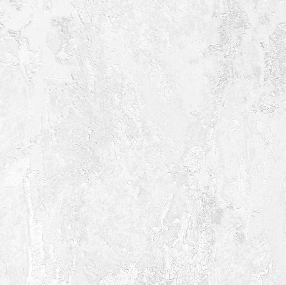 60929-02  Erismann  Tivoli Обои виниловые на флиз. основе гор. тисн.1,06 х10,05м