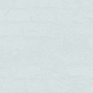 60408-05 Erismann NEON Обои виниловые на флиз. основе гор. тисн.1,06 х10,05м 60408-05 Erismann NEON Обои виниловые на флиз. основе гор. тисн.1,06 х10,05м