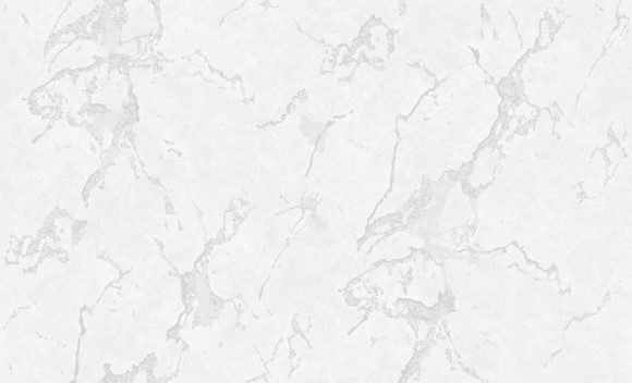 60693-02 Erismann Meridian Обои виниловые на флиз. основе гор. тисн.1,06 х10,05м 60693-02 Erismann Meridian Обои виниловые на флиз. основе гор. тисн.1,06 х10,05м