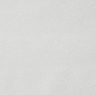 60448-05 Erismann  Profi Deko Обои виниловые на флиз. основе гор. тисн.1,06 х10,05м