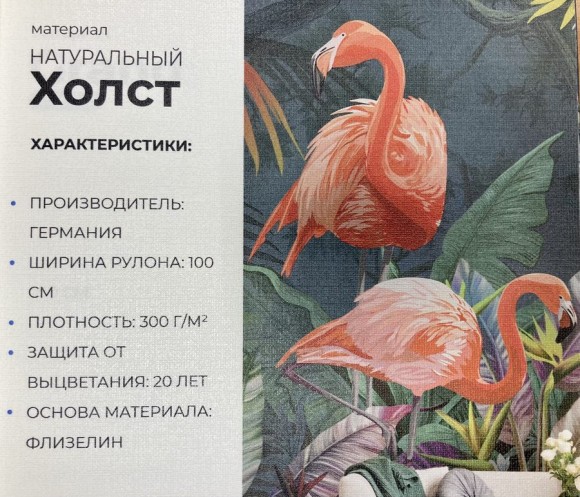 Натуральный холст (Германия) ширина 100см