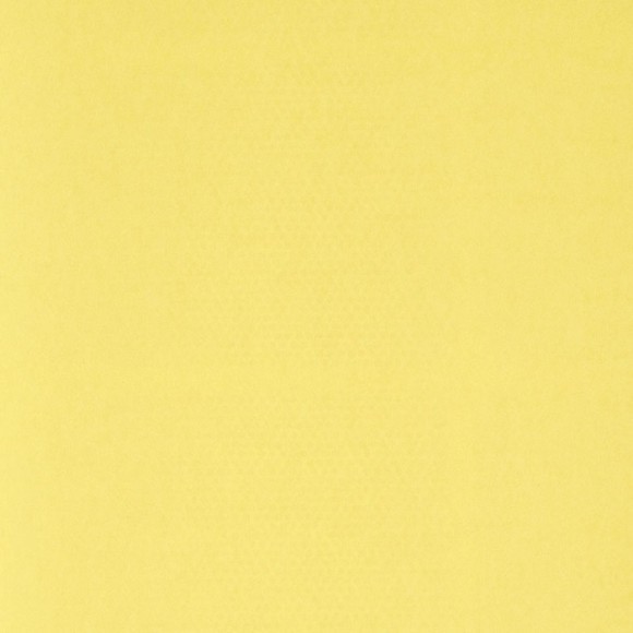 60442-08 Erismann Papaya Обои виниловые на флиз. основе гор. тисн.1,06 х10,05м 60442-08 Erismann Papaya Обои виниловые на флиз. основе гор. тисн.1,06 х10,05м