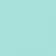 60442-11 Erismann Papaya Обои виниловые на флиз. основе гор. тисн.1,06 х10,05м 60442-11 Erismann Papaya Обои виниловые на флиз. основе гор. тисн.1,06 х10,05м