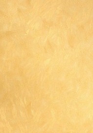 3565-4   Country Style Обои виниловые  10,05 х 1,06 м