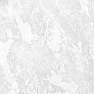 60899-02 Erismann Swell обои виниловые на флиз. основе гор. тисн.1,06 х10,05м
