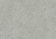 1-0470 ТФШ Обои Хамелеон 1,06х10м