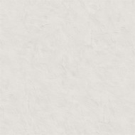 60357-07  Erismann  Profi Deko Обои виниловые на флиз. основе гор. тисн.1,06 х10,05м