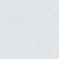 60357-10  Erismann  Profi Deko Обои виниловые на флиз. основе гор. тисн.1,06 х10,05м