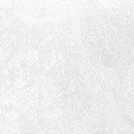 60869-02  Erismann Medea Обои виниловые на флиз. основе гор. тисн.1,06 х10,05м