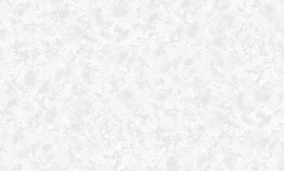 2813-5 Erismann  Defender Color Обои виниловые на флиз. основе гор. тисн.1,06 х10,05м