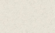 3613-2 Обои виниловые на флиз.осн.горячего тис 10,05*1,06
