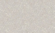 3613-5 Обои виниловые на флиз.осн.горячего тис 10,05*1,06