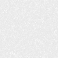 4598-3 Обои виниловые на флиз.осн.горячего тис 10,05*1,06
